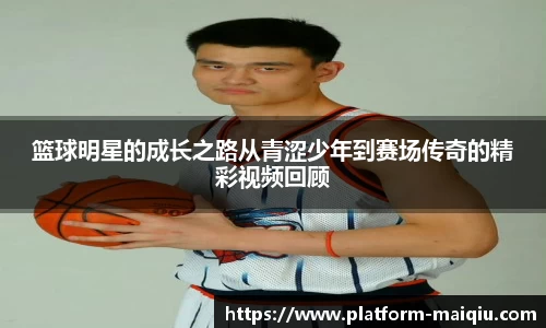 体育买球网