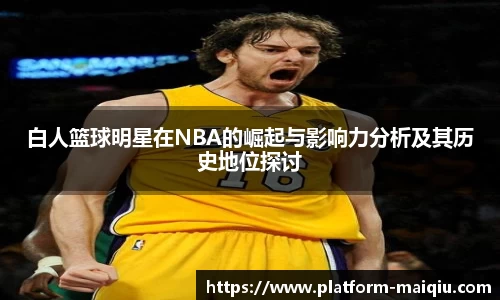 白人篮球明星在NBA的崛起与影响力分析及其历史地位探讨